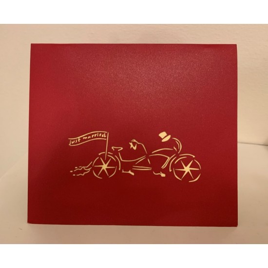 Handmade 3d Popup Card Lady Gentleman Couple Lover Bike Cycling Park Garden Valentines Day Wedding Anniversary Engagement Big Day Gift Party